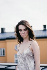 Vlada