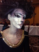 pmc_ambition All Northern Ireland Hair and Makeup Championships 2013