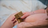 Danbo            