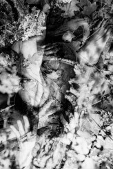 magphotopl                             Korona Milczenia            