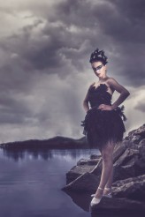 MagdaKozlowska                             Black Swan            