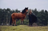 Uchwyconechwilemt                             Sesja wykonana już kilka miesięcy temu
Mod: Patrycja L.            