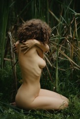wildcumin_ph