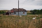 Podroznik_Potiomkin Landschaft z kozami 