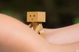 Danbo            