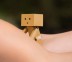 Danbo