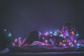 AlisaBurlakova Christmas lights