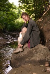 dominoo2                             Forest            