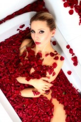 chocolate_lover Session style American Beauty 