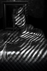 Marky Stripes of Silence