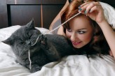 andrrra Model: Mój boski kot Fado (niebieski krótkowłosy kot brytyjski)