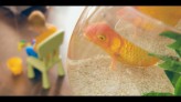 Blaurung Film reklamowy w którym głównym bohaterem jest złota rybka. Wejdź na http://www.blaurung.pl i zobacz więcej naszych produkcji. 