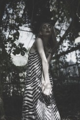 NScalpel Foto: Krzysztof Mader