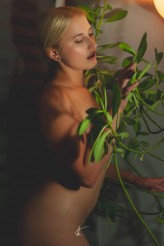 DixieRevelle