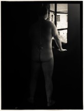 Pozer                             Z mchu i paproci            