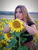 kiminiaa                             Zdjęcie portretowe w polu słoneczników. Trzeba pokorzystać jeszcze z letnich klimatów! :)            