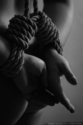 shibari