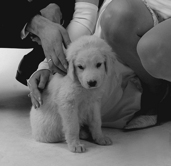 elagawin Zdjęcia ślubne Eli Gawin i A. Knagi