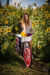 Polinessa Foto : MAD Bicycles