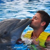 niewierny90 delfin <3