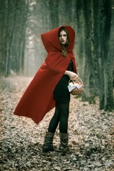 LanNa                             Red Riding Hood            