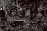 layl                             Sesja z Katarzyną w cmentarzu żydowskim we Wrocławiu.
Zdjęcia do konca mnie nie satysfakcjonują, ale są robione po dluuugiej przerwie.            