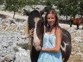 Sabczokk Wild Horses ♥