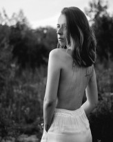 whitepeacock                             Fot. Konrad Lewikowski            