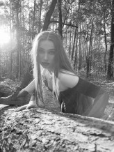domi_lipska