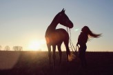 Nikitta #western #cowgirl #horse