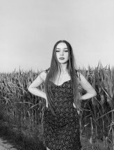 domi_lipska
