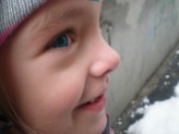 velnov