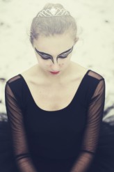 Coppelia Black Swan 