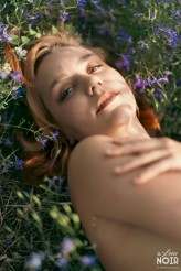 TheLensNoir                             https://www.patreon.com/thelensnoir            