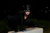 Konto usunięte Catwoman wg Agnieszki