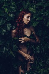 Lisia Fotograf: https://www.instagram.com/trzecie_oko/
Plener: https://www.instagram.com/plener_lipiny/