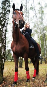 photoe Horse rider