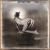 poetryphotos_com Zebra theme (2022) - Bi-color oil print 30x30cm based on the digital negative