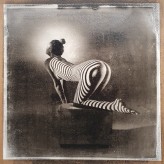 poetryphotos_com                             Zebra theme (2022) - Bi-color oil print 30x30cm based on the digital negative            