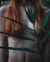 ruda_cami            