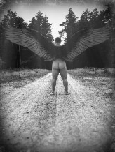 Pozer                             Z mchu i paproci            