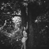 abby_pl
