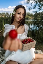 karol_nitecki