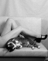 Dollita Meow~

Fot. Piotr Jaworski 