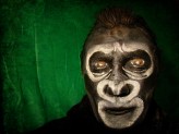 vangelisa Gorilla facepainting
fot. ja