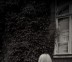 olyaavg_ph