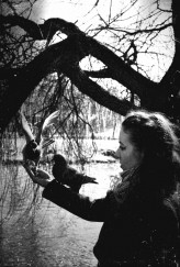 Dark_Crystal