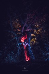 MioFallen Day and night, tree stories