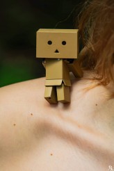 Danbo            