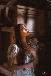 MBFoto